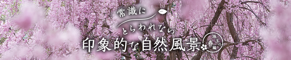 ����������킹�Ă�����������