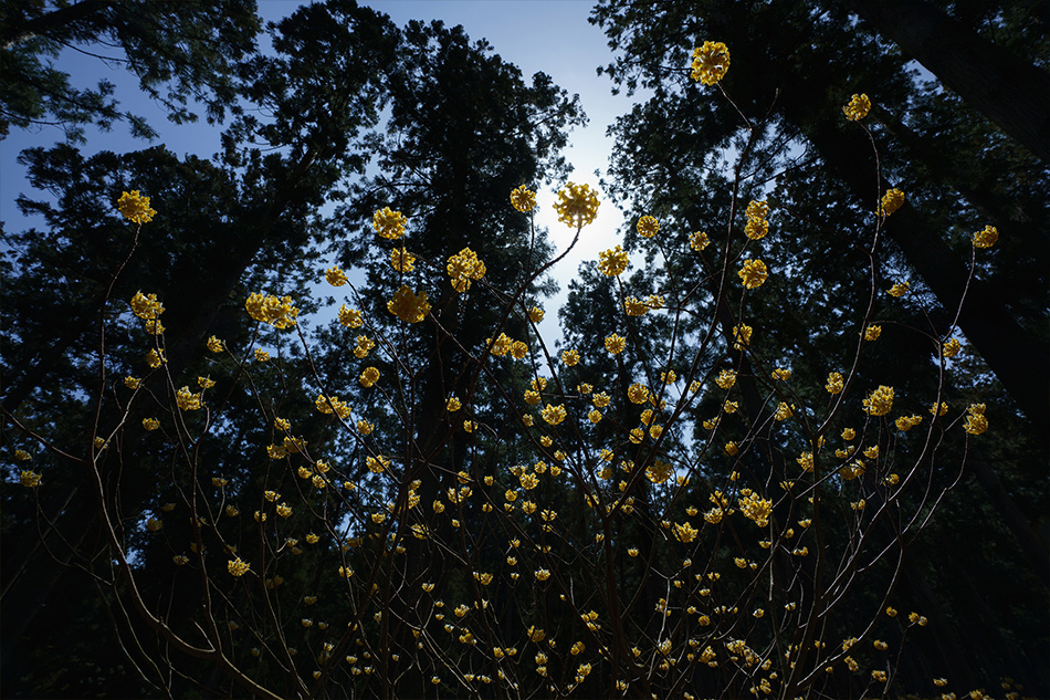 ��7R III,�@ FE 16-35mm F2.8 GM,�@ 16mm,�@ F11,�@ 1/250�b,�@ ISO400