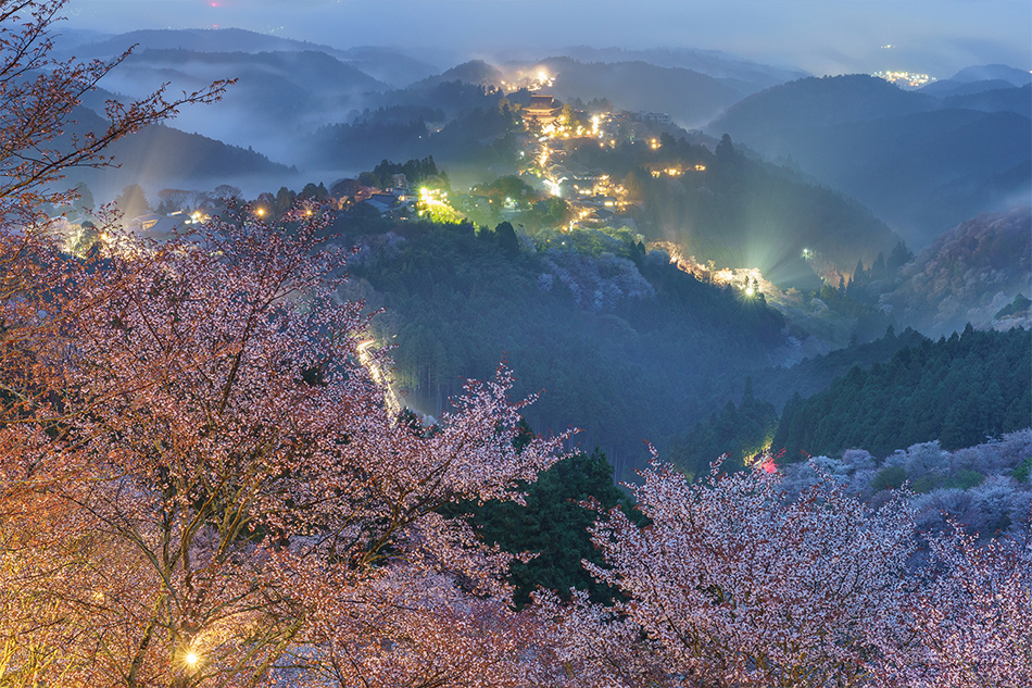 ��7R III,�@ FE 24-70mm F2.8 GM,�@ 58mm,�@ F8,�@ 65�b,�@ ISO800