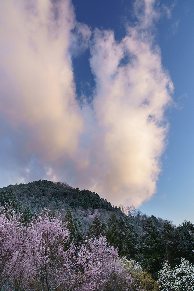 ��7R III,�@ FE 24-70mm F2.8 GM,�@ 25mm,�@ F16,�@ 1/8�b,�@ ISO400