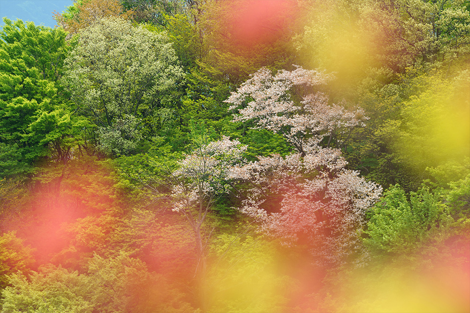 ��7R III,�@ FE 100-400mm F4.5-5.6 GM OSS,�@ 276mm,�@ F11,�@ 1/125�b,�@ ISO400