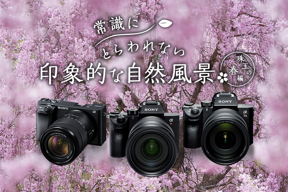 �펯�ɂƂ���Ȃ���ۓI�Ȏ��R���i ��ʂ̏t��