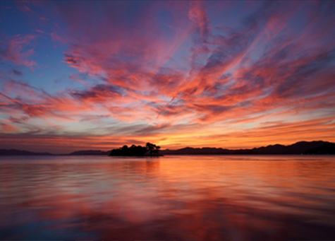 �����ǓT���̃I�����C���u�����i�ʐ^