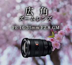 �L�p�Y�[�������Y FE 16-35mm F2.8 GM