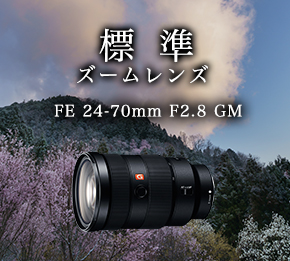 �W���Y�[�������Y FE 24-70mm F2.8 GM