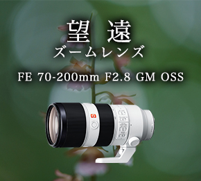 �]���Y�[�������Y FE 70-200mm F2.8 GM OSS
