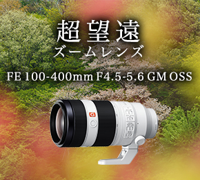 ���]���Y�[�������Y FE 100-400mm F4.5-5.6 GM OSS