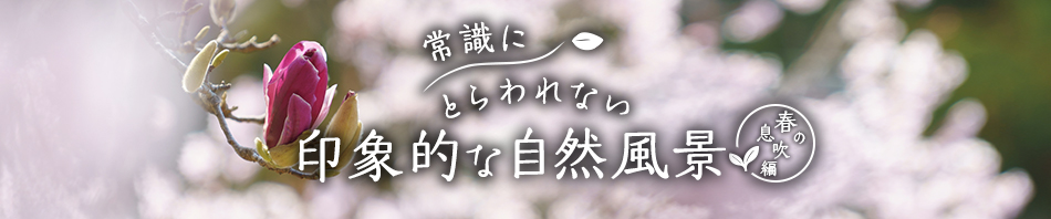 ����������킹�Ă�����������