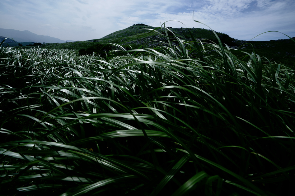 7R III,@FE 16-35mm F2.8 GM,@18mm,@F8,@1/250b,@ISO100