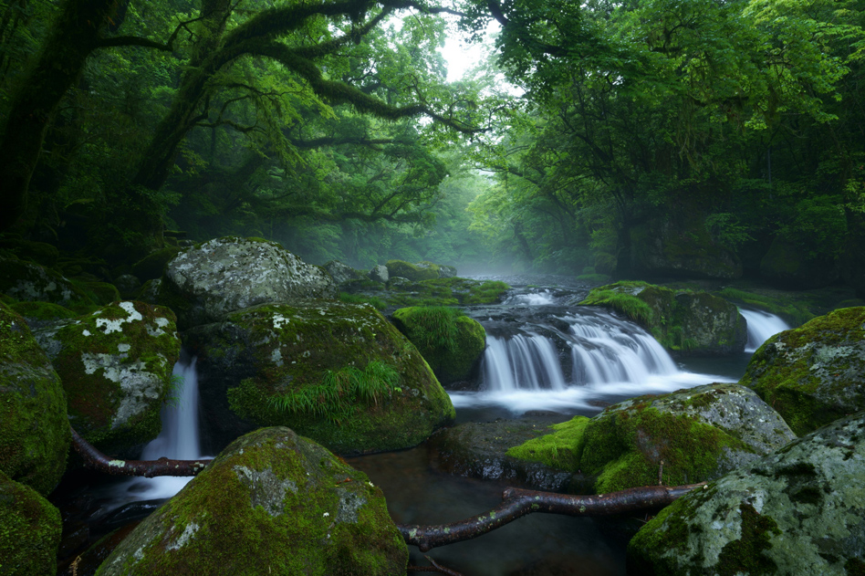 7R III,@FE 16-35mm F2.8 GM,@20mm,@F16,@1b,@ISO100