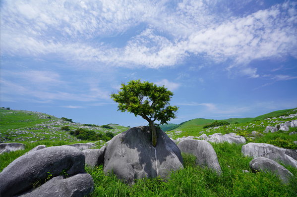 7R III,@FE 16-35mm F2.8 GM,@16mm,@F8,@1/200b,@ISO200