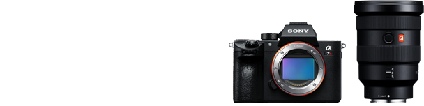 愛用のボディ／レンズ α7R III & FE 16-35mm F2.8 GM