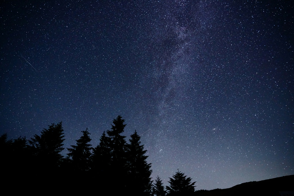 ��7R III,�@FE 16-35mm F2.8 GM,�@16mm,�@F3.2,�@15�b,�@ISO12800