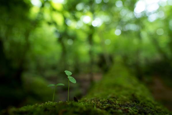 ��7R III,�@FE 16-35mm F2.8 GM,�@23mm,�@F2.8,�@1/15�b,�@ISO200