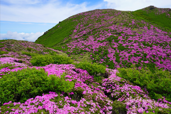 ��7R III,�@FE 16-35mm F2.8 GM,�@23mm,�@F14,�@1/60�b,�@ISO200