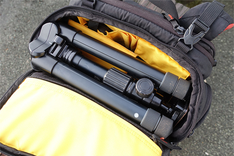 �o�b�N�p�b�N�̒��g