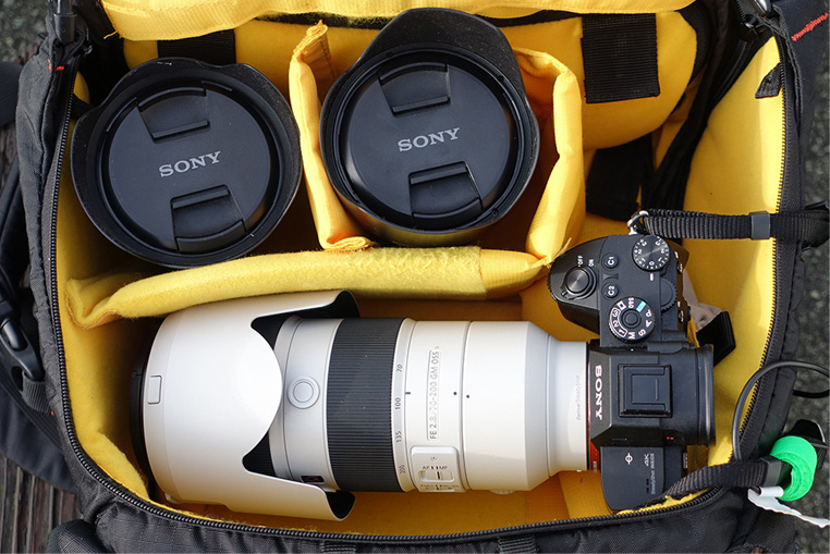 �o�b�N�p�b�N�̒��g