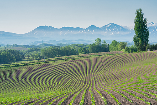 �o�^�Ăяo��2�i���i�̎B�e�j�F��9,�@ FE 70-200mm F2.8 GM OSS,�@ 84mm,�@ F14�@ 1/250�b,�@ ISO100