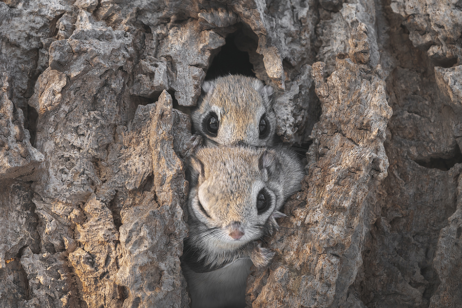 ��9 II,�@ FE 400mm F2.8 GM OSS,�@ 400mm,�@ F8,�@ 1/40�b,�@ ISO640