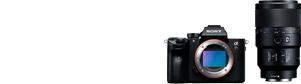 愛用のボディ／レンズ α7R III & FE 16-35mm F2.8 GM