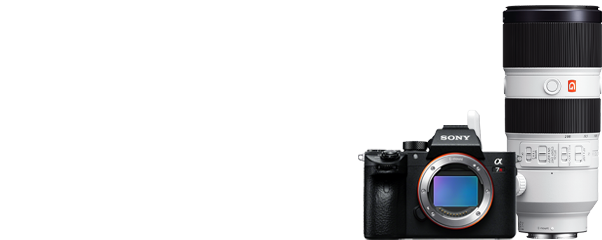 愛用のボディ／レンズ α7R III & FE 70-200mm F2.8 GM OSS