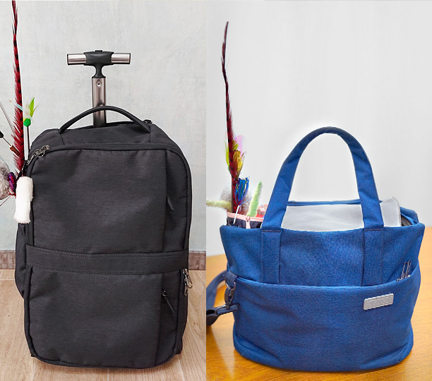 �L�����[�P�[�X�ɂȂ�J�����o�b�O