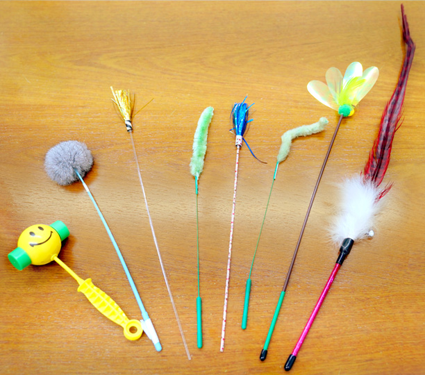 �L�����[�������O�������ŁA�����b�N�ɂ��Ȃ�J�����o�b�O