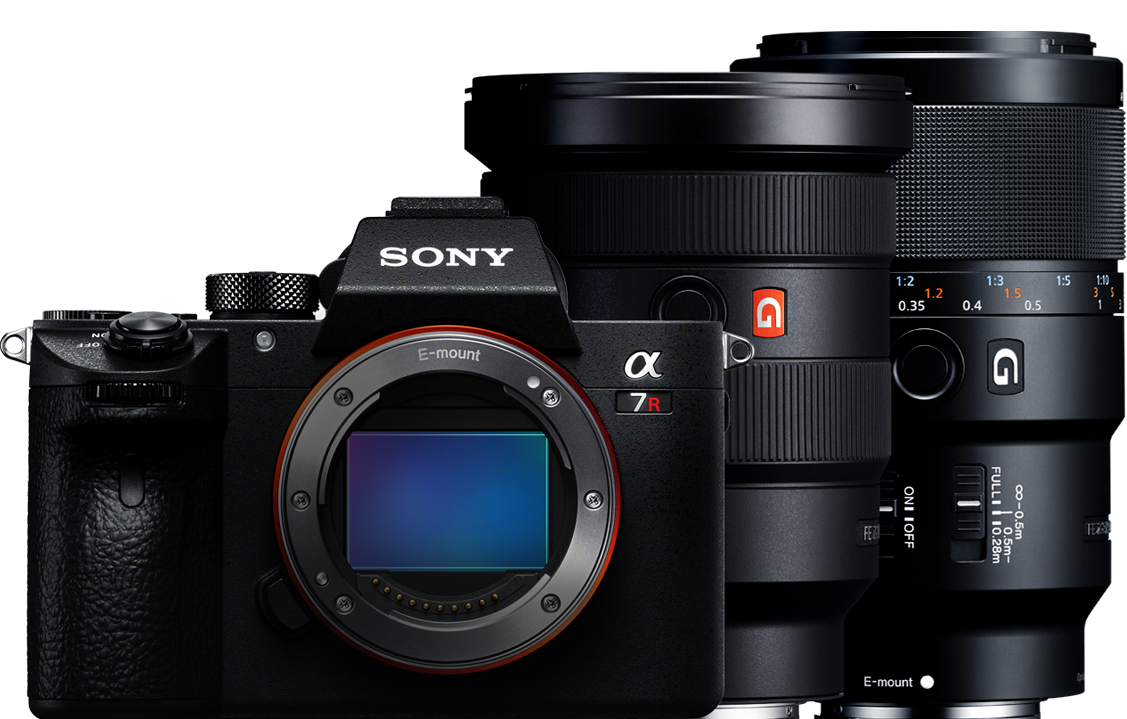 &alpha; Professional Style