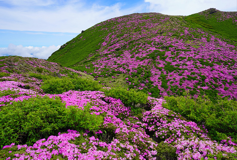 �ʐ^�� ���c �����Y