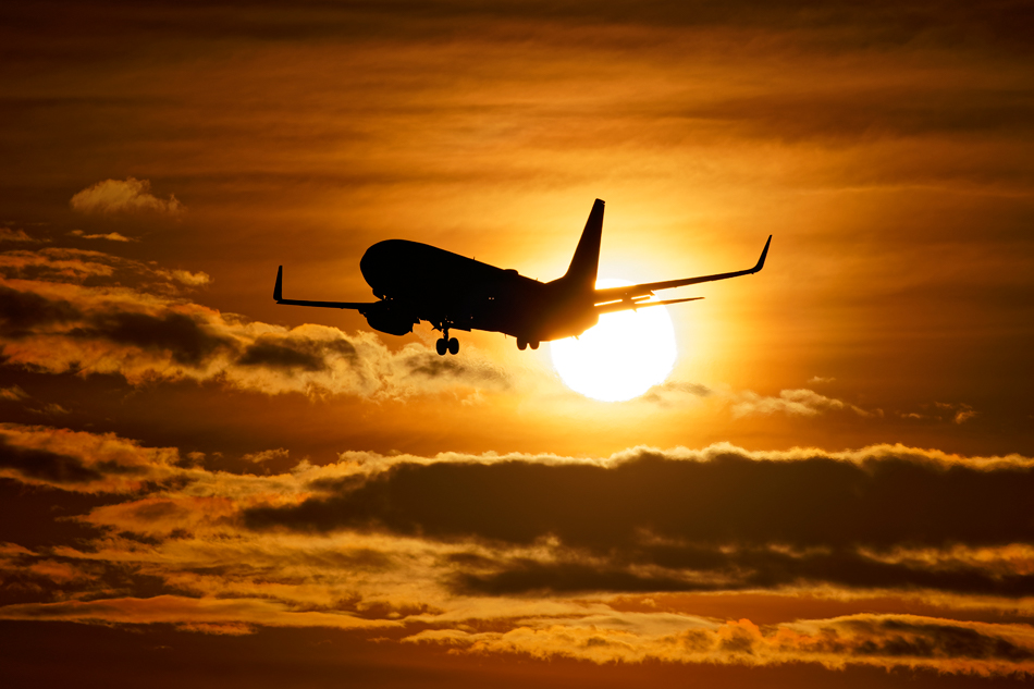 9,@FE 100-400mm F4.5-5.6 GM OSS,@400mm,@F11,@1/32000b,@ISO100