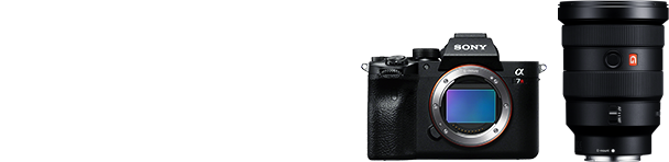愛用のボディ／レンズ α7R IV & FE 16-35mm F2.8 GM