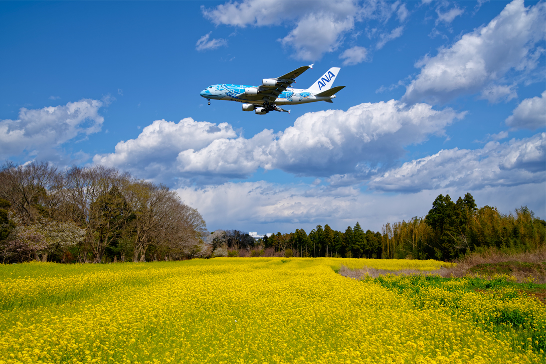 �� professional style �v�������B�e�̗��V