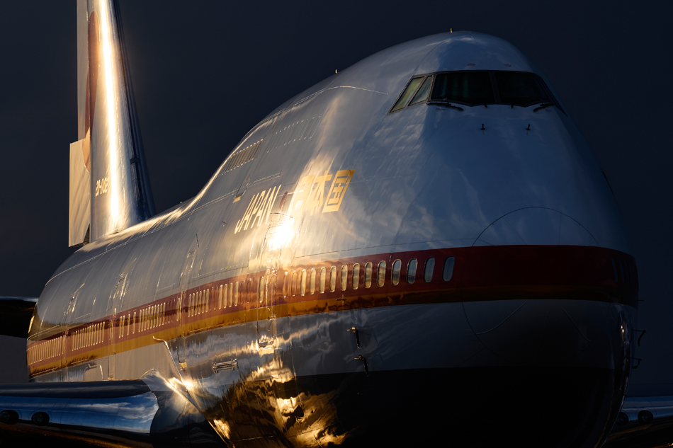 ��7R III,�@FE 100-400mm F4.5-5.6 GM OSS,�@173mm,�@F10,�@1/640�b,�@ISO200