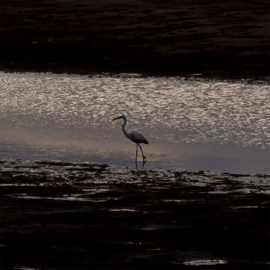 ʒɏʂĂ钹ׂ̍r܂łƕ`o