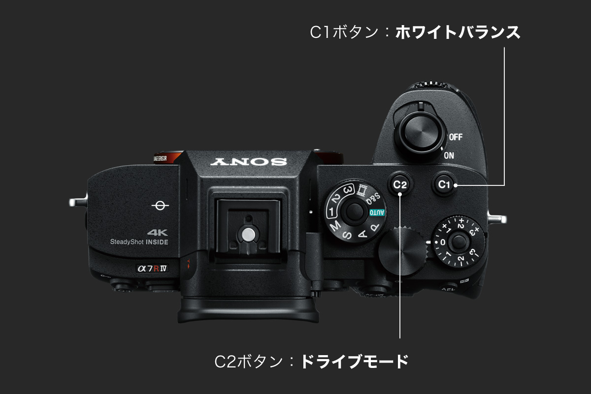 ��ʂ̃J�X�^���{�^���@C1�{�^���F�z���C�g�o�����X�AC2�{�^���F�h���C�u���[�h