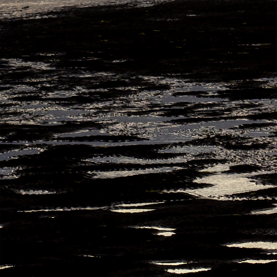 ��ʂ̂��݂��݂܂ō����𑜐��\�ŁA�����̃f�B�e�[���܂��k���ɕ\��