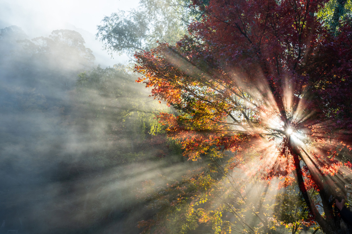 ��7R IV,�@ FE 16-35mm F2.8 GM,�@ 35mm,�@ F16,�@ 1/20�b,�@ ISO250