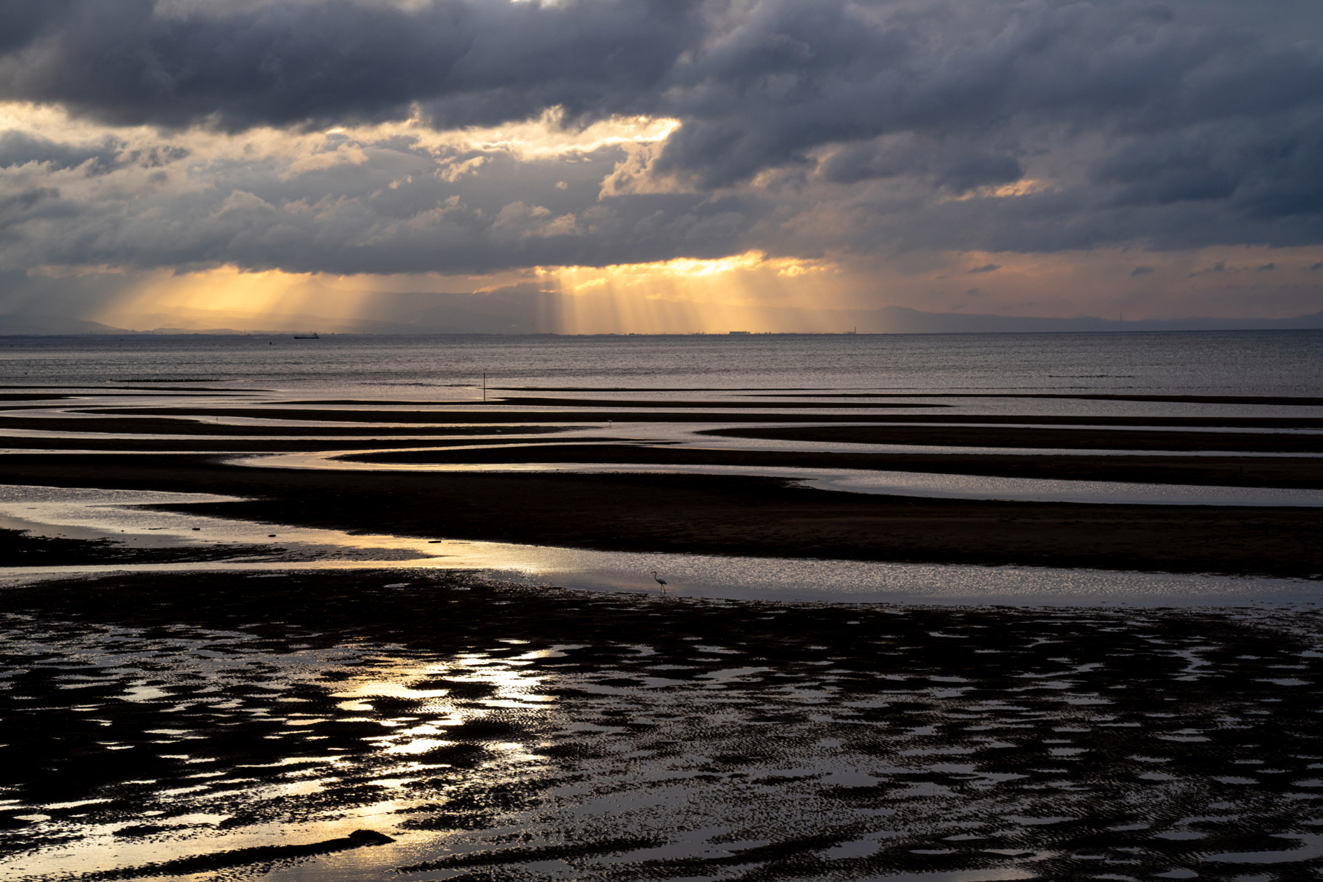 ��7R IV,�@ FE 100mm F2.8 STF GM OSS,�@ 100mm,�@ F16,�@ 1/80�b,�@ ISO100
