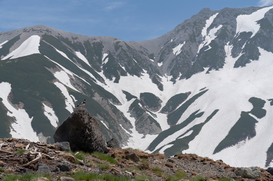 7R III,@FE 24-70mm F2.8 GM,@70mm,@F8,@1/640b,@ISO200