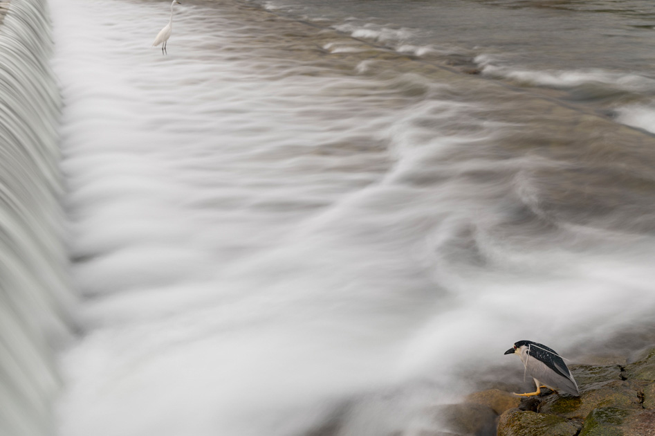 ��7R III,�@FE 24-70mm F2.8 GM,�@38mm,�@F8.0,�@2.0�b,�@ISO160