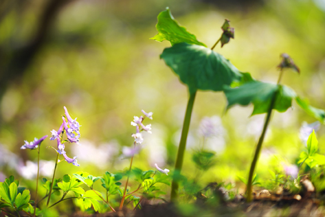 FE 70-200mm F2.8 GM OSS,�@116mm,�@ F2.8,�@ 1/200�b,�@ ISO100