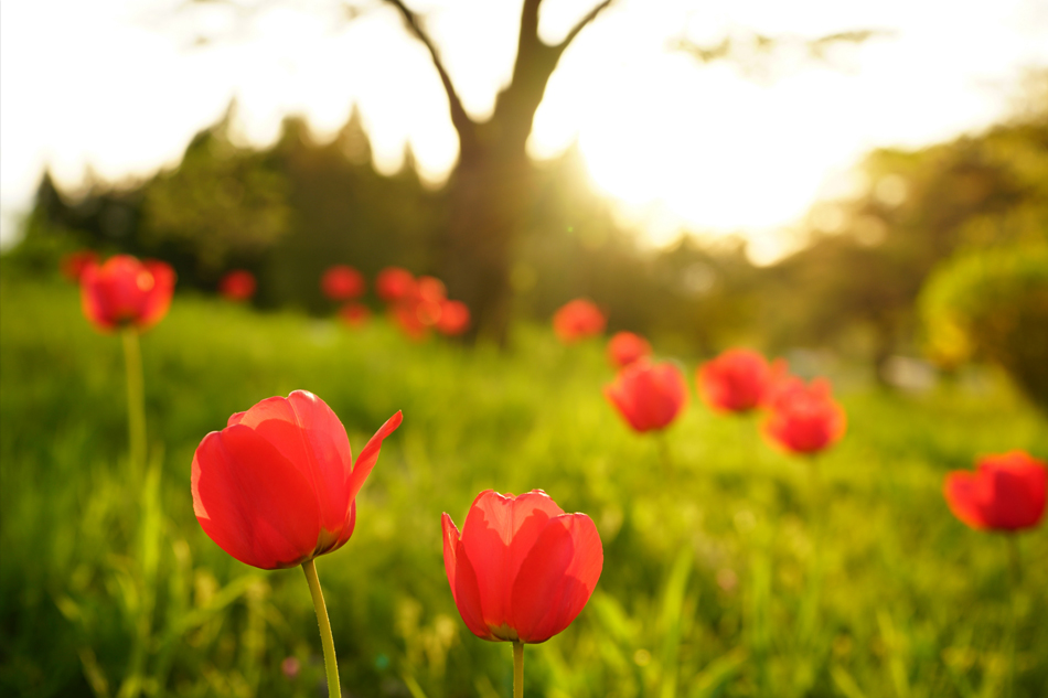 FE 16-35mm F2.8 GM,�@ 16mm,�@ F2.8,�@ 1/320�b,�@ ISO200