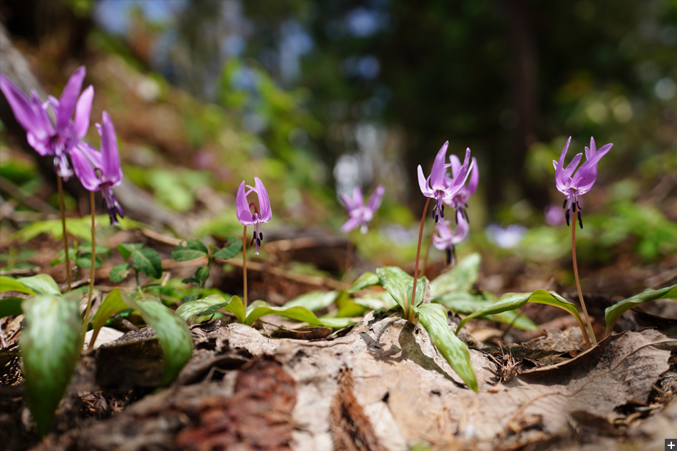 FE 16-35mm F2.8 GM,�@ 35mm,�@ F2.8,�@ 1/500�b,�@ ISO200