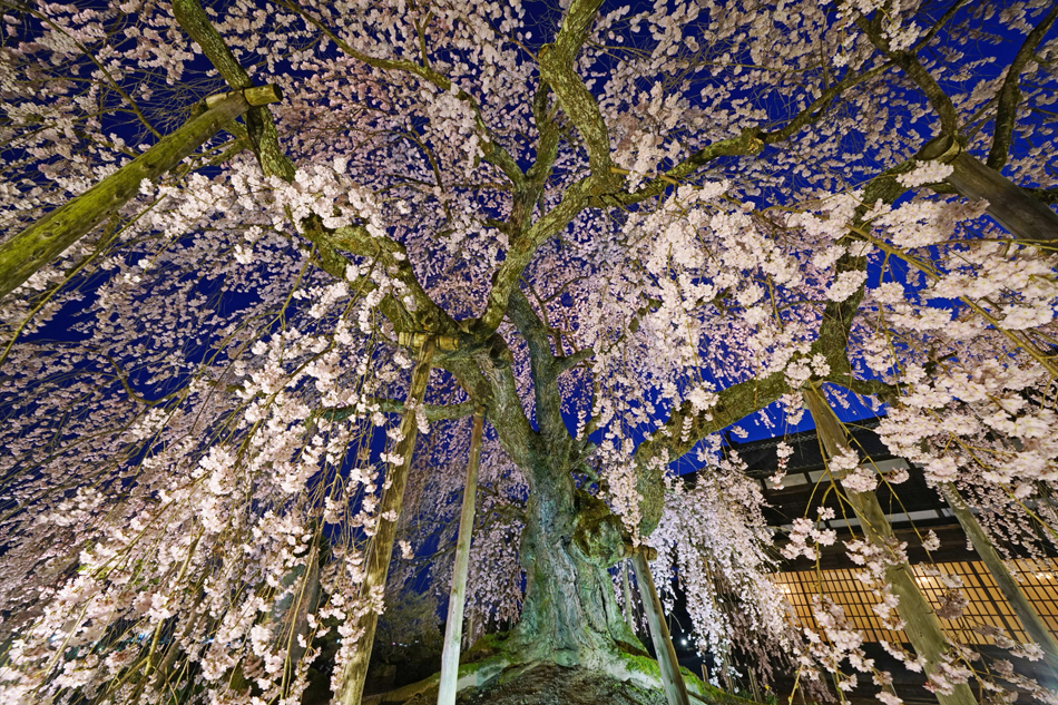 FE 12-24mm F4 G,�@ 12mm,�@ F8,�@ 1/2�b,�@ ISO800