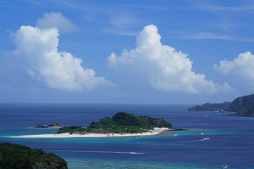 �V���b�^�[���x1/250�b�@F�l8.0�@+0.3EV�@ISO200�@��7S �{ FE 70-200mm F4 G OSS�q�܂����ʕ��i�Əo��A�Ă̗��� �m����C�ҁn�bSony�fs feature�b�\�j�[�r