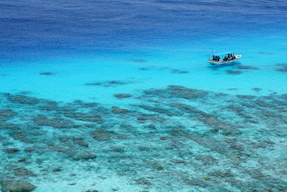 �V���b�^�[���x1/160�b�@F�l9.0�@+0.7EV�@ISO200�@��7S �{ FE 70-200mm F4 G OSS�q�܂����ʕ��i�Əo��A�Ă̗��� �m����C�ҁn�bSony�fs feature�b�\�j�[�r