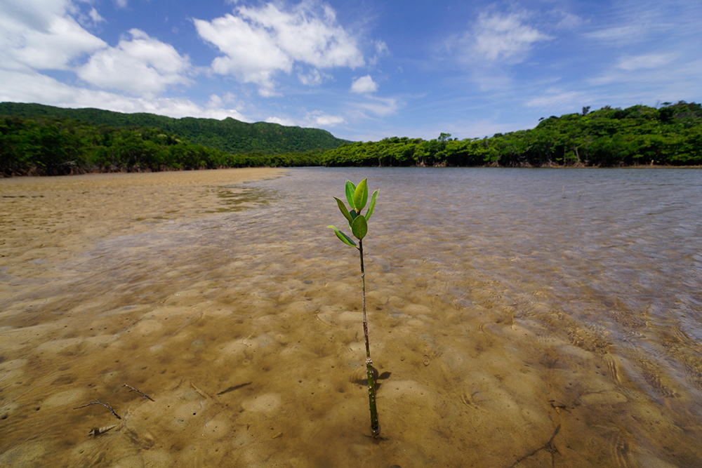 �V���b�^�[���x1/200�b�@F�l8.0�@�}0EV�@ISO400�@��99  �{ Vario-Sonnar T�� 16-35mm F2.8 ZA SSM II�q�܂����ʕ��i�Əo��A�Ă̗��� �m����C�ҁn�bSony�fs feature�b�\�j�[�r