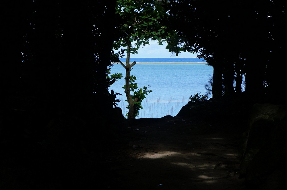 �V���b�^�[���x1/2000�b�@F�l8.0�@-1.0EV�@ISO800�@NEX-5N �{ E 18-55mm F3.5-5.6 OSS�q�܂����ʕ��i�Əo��A�Ă̗��� �m����C�ҁn�bSony�fs feature�b�\�j�[�r