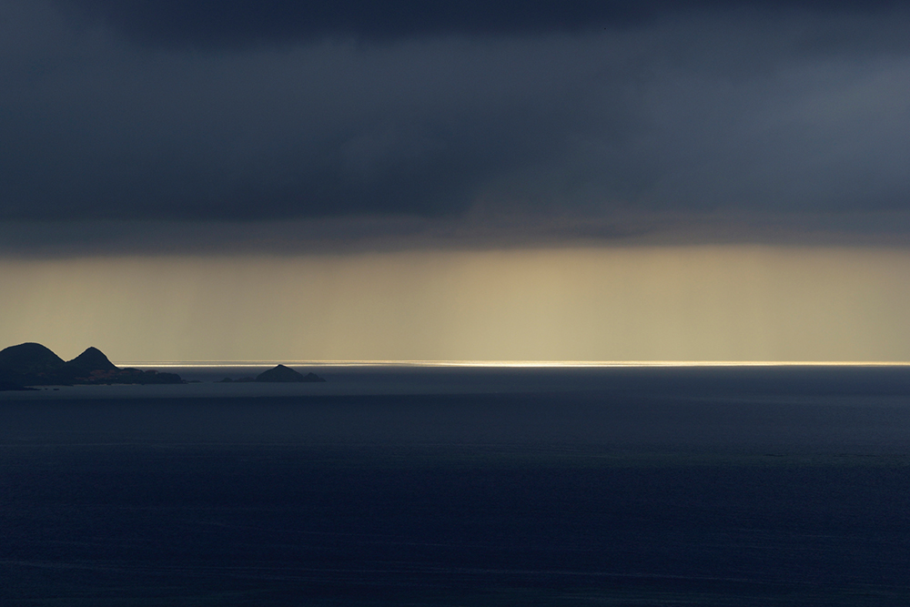 �V���b�^�[���x1/500�b�@F�l9.0�@�}0EV�@ISO200�@��99 �{ 70-400mm F4-5.6 G SSM II�q�܂����ʕ��i�Əo��A�Ă̗��� �m����C�ҁn�bSony�fs feature�b�\�j�[�r