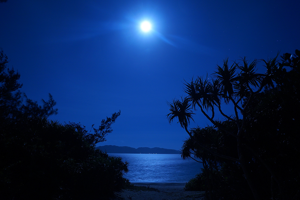 �V���b�^�[���x10�b�@F�l8.0�@�}0EV�@ISO800�@��7S �{ LA-EA3 �{ Distagon T�� 24mm F2 ZA SSM�q�܂����ʕ��i�Əo��A�Ă̗��� �m����C�ҁn�bSony�fs feature�b�\�j�[�r